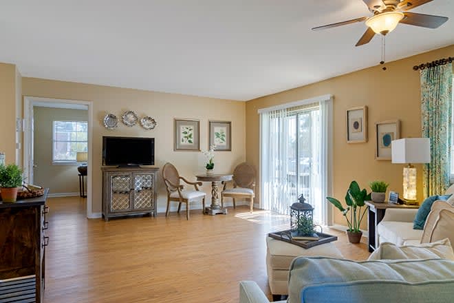 A modern living room with hardwood flooring, stylish furniture, and decorative elements.