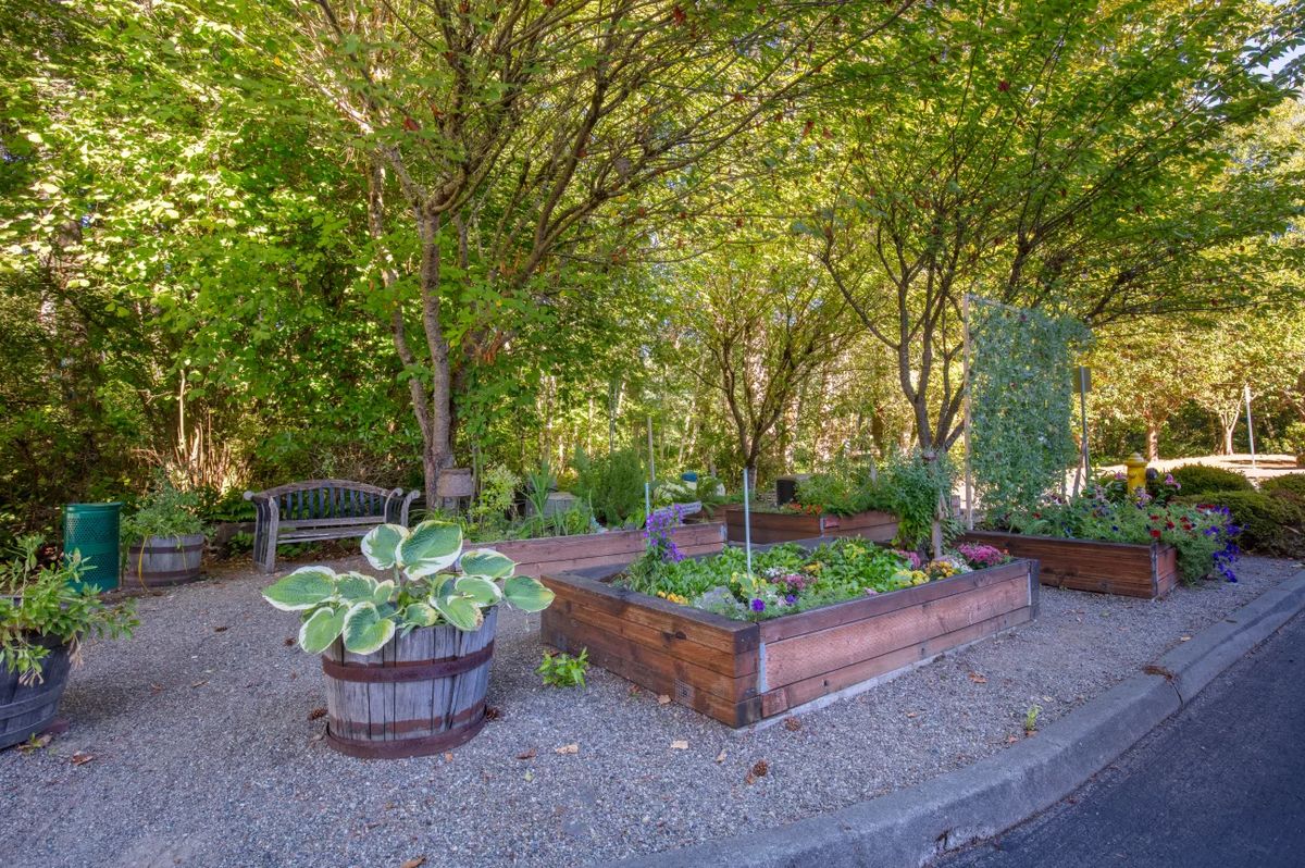 A scenic garden featuring raised beds surrounded by lush trees and a cozy bench.