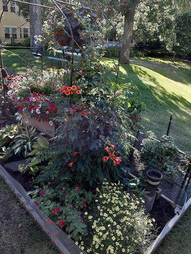 A vibrant garden filled with colorful flowers and lush greenery.