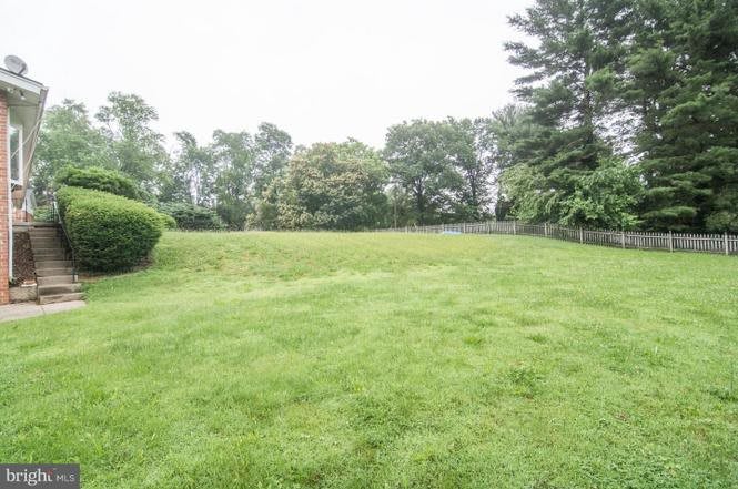 A lush green field surrounded by trees.