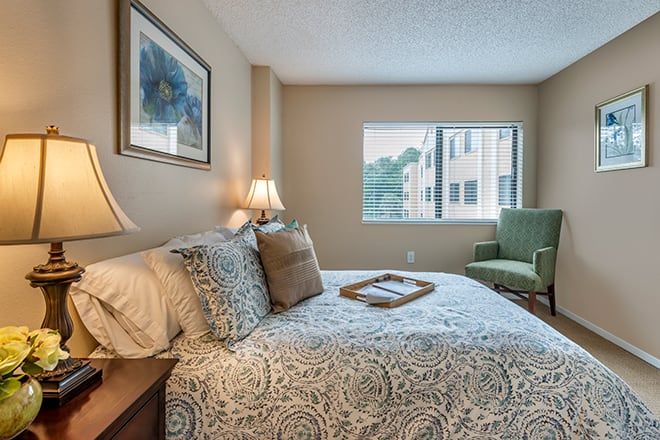 A cozy bedroom with a neatly made bed, bedside lamps, and natural light from the window.
