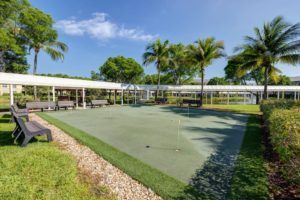 A sunny outdoor shuffleboard court surrounded by palm trees.