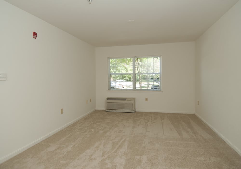 An empty room with beige carpet, a window, and an air conditioner.