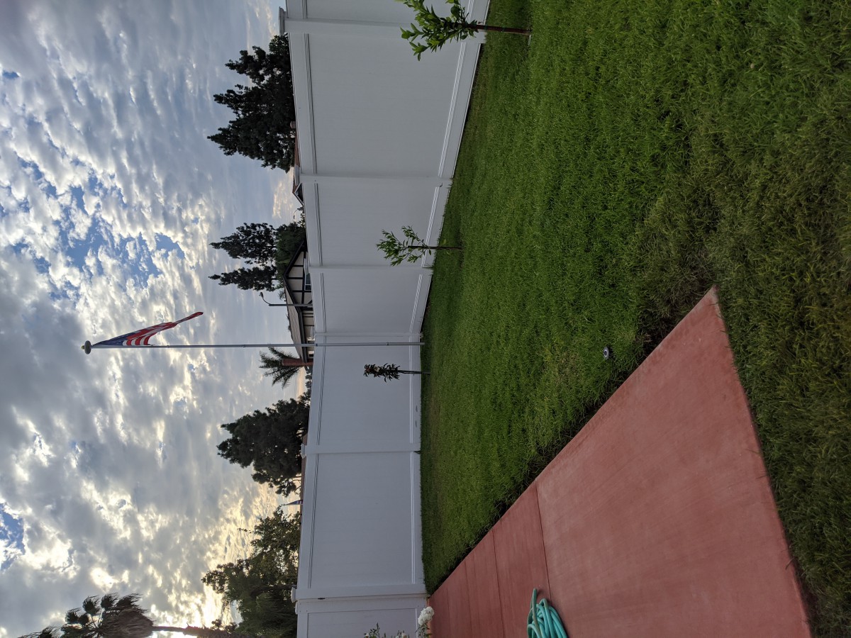 A backyard with a white fence, grassy lawn, and a cloudy sky.