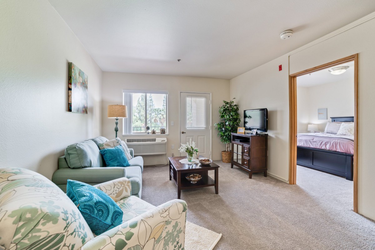 A cozy living room with comfortable seating, a television, and stylish decor.