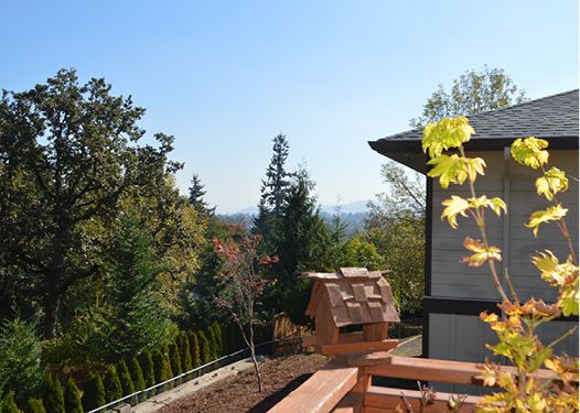 A sunny garden view featuring trees and a wooden birdhouse.