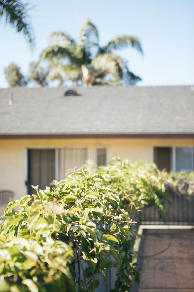 A house with a green hedge in the foreground, set against a clear sky.