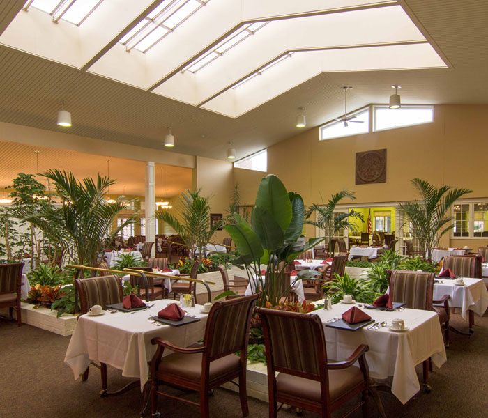 A well-lit restaurant dining area with skylights and indoor plants.