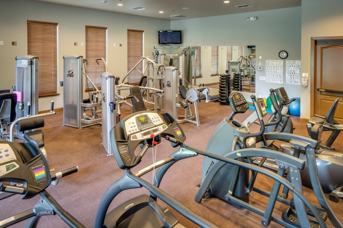 A well-equipped gym with various exercise machines and treadmills.