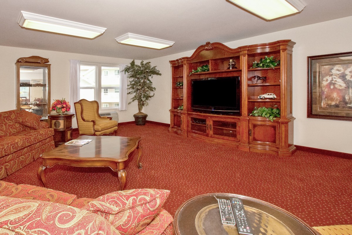 A cozy living room featuring a large entertainment center with a television, elegant wooden furniture, and a warm carpeted floor.