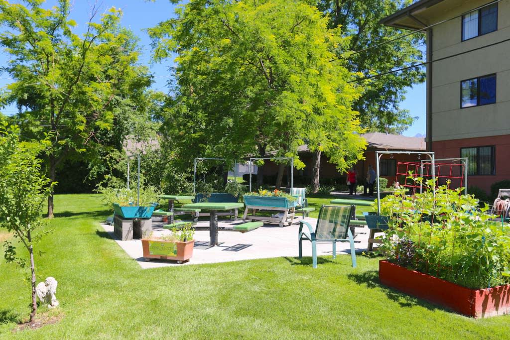A sunny backyard garden with a patio area, surrounded by greenery and outdoor furniture.