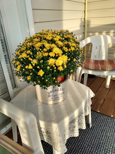 South Street Senior Care
