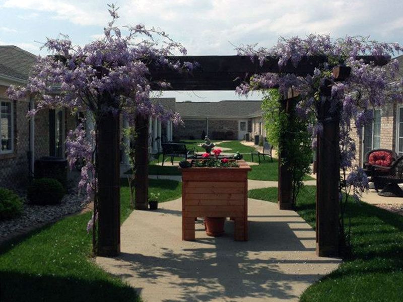 A serene garden pathway adorned with wisteria-covered pergolas.
