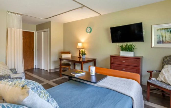 A cozy bedroom interior with a bed, wall-mounted TV, desk, and decorative plants.