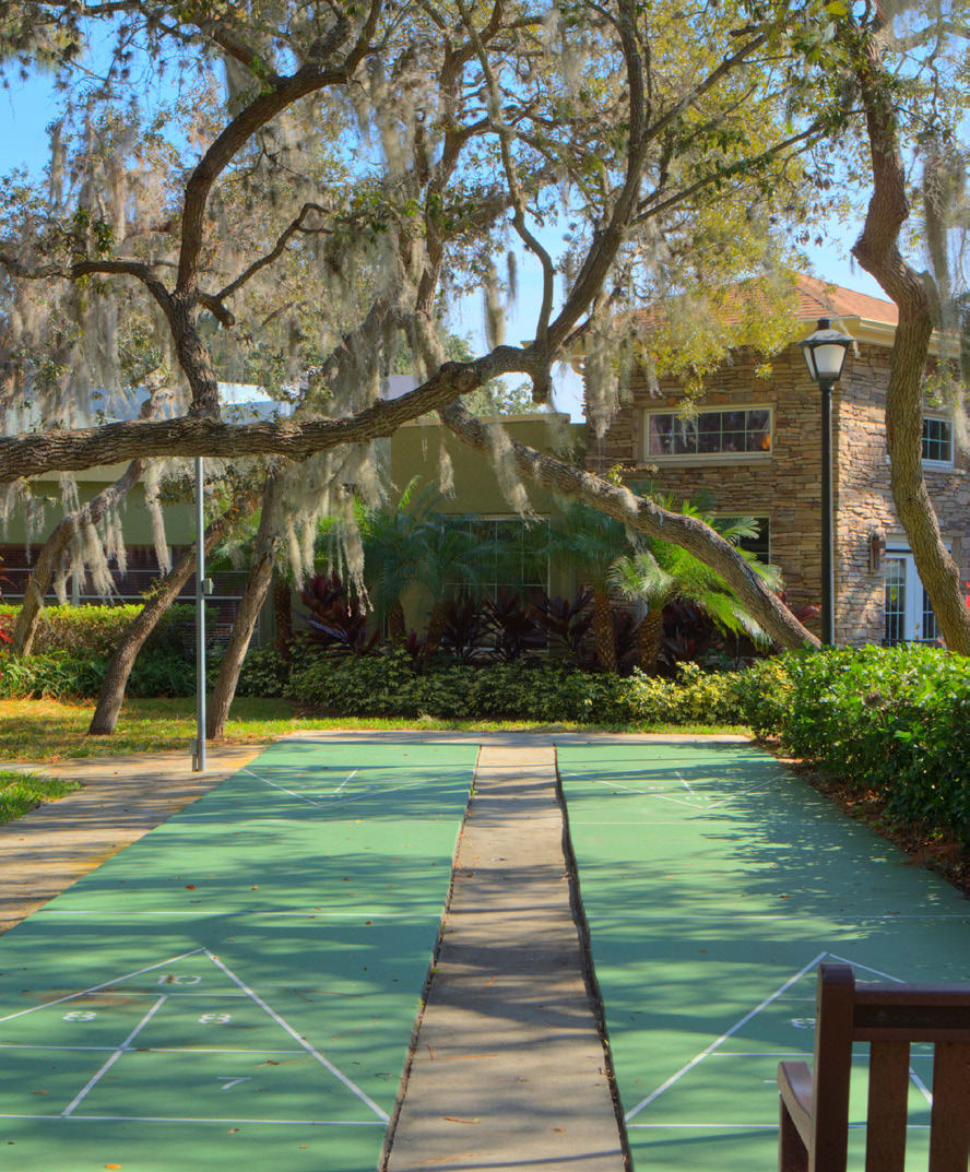 A tranquil outdoor pathway lined with trees and greenery near a building.