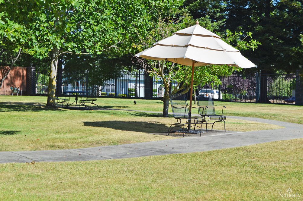 A peaceful park scene featuring a shaded bench under an umbrella, surrounded by trees and grass.