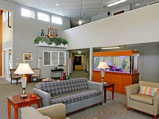 Evergreen Court