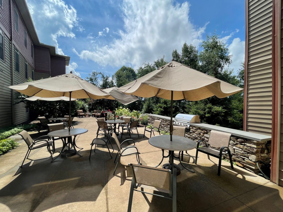 A sunny outdoor patio with tables and umbrellas, surrounded by trees.