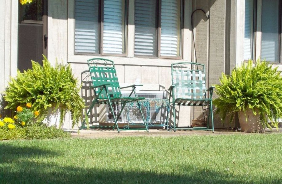 Two metal chairs on a patio with surrounding plants and a grassy yard.