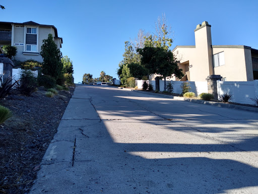 A quiet residential street with a gentle incline, lined with trees and homes, basking in the sunlight.
