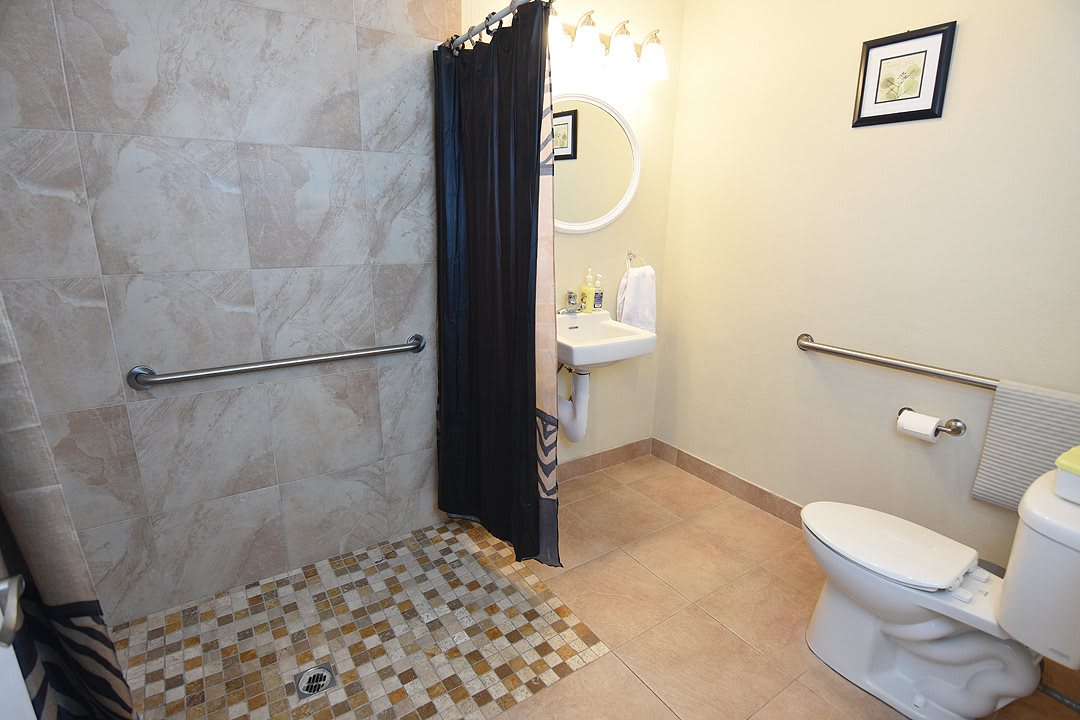 An accessible bathroom with a walk-in shower, toilet, and sink.