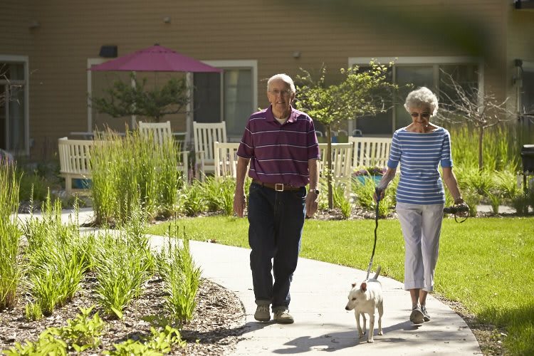An elderly couple walking their dog along a garden path.