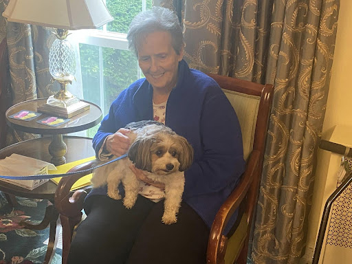 A smiling person sitting in a chair with a small dog on their lap, enjoying some quality time together.