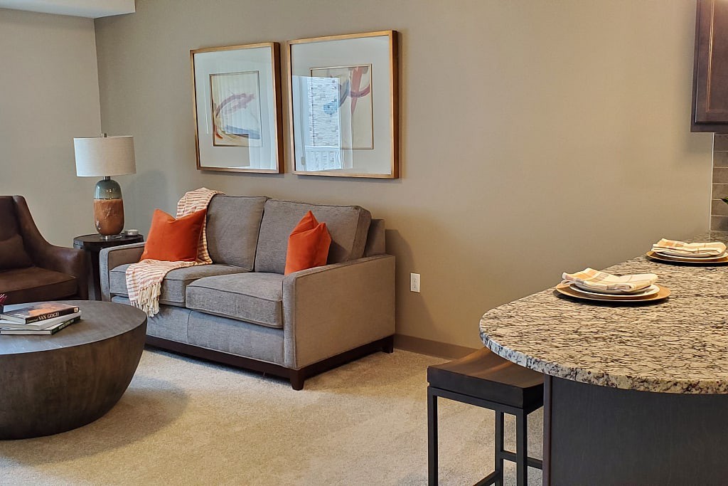 A cozy living room with a gray sofa, orange cushions, and wall artwork.