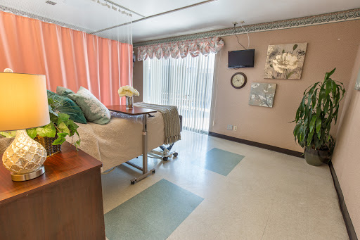 A serene hospital room designed for patient comfort, featuring warm colors and natural elements.