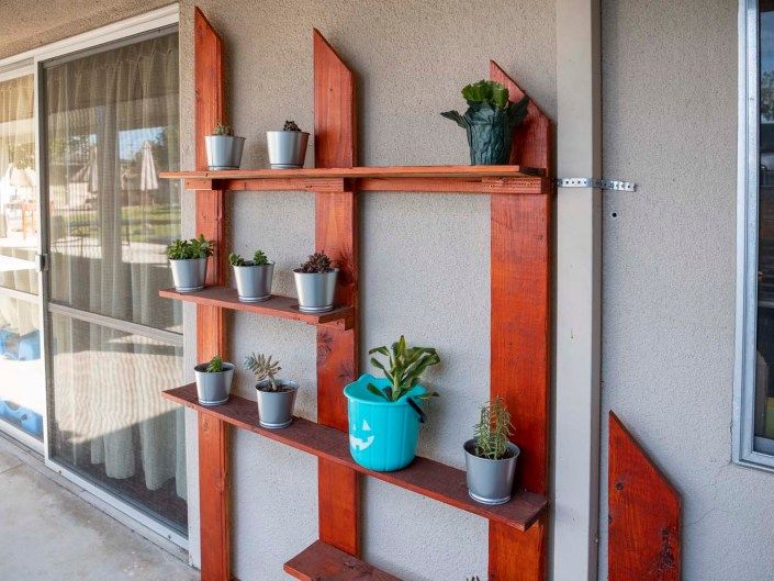 A wooden wall-mounted shelf displaying several potted succulents on a patio.