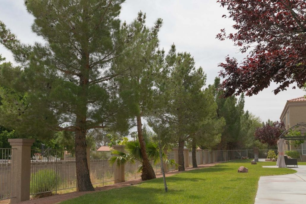 Desert View Senior Living