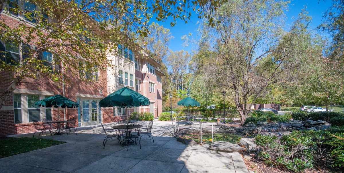A sunny outdoor patio with tables and umbrellas surrounded by trees and a building.