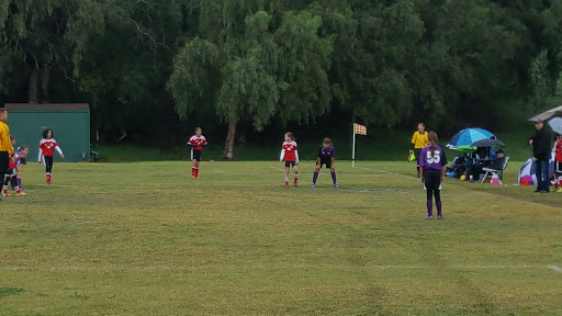 Players are positioned on the field, ready for the next play in a football match.