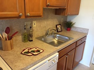 A tidy kitchen counter with a sink, decorated with bottles and a plant.