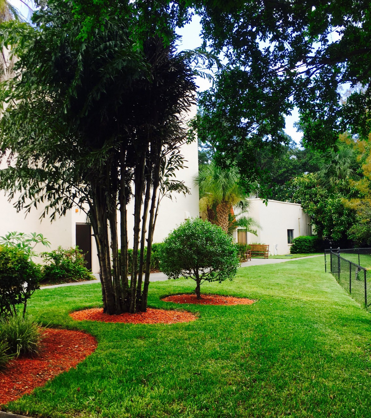 A scenic garden with lush greenery and trees beside a building.