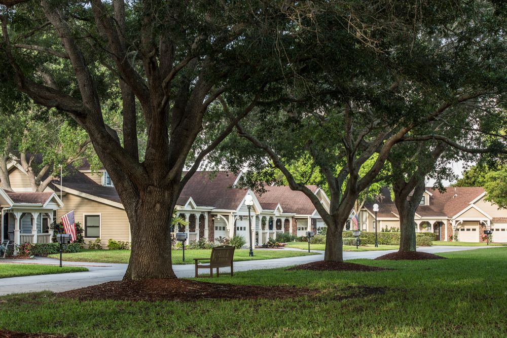 A scenic suburban pathway lined with large trees and a bench, leading to charming houses.