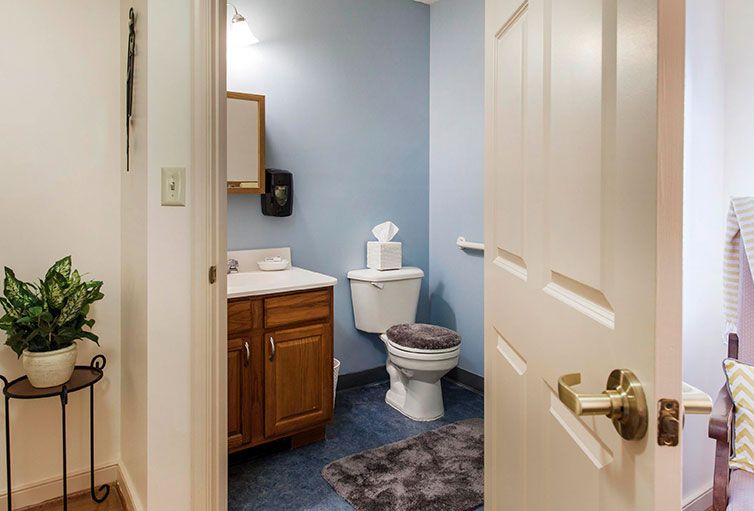 A small bathroom featuring a toilet, sink, and mirror with blue walls and brown cabinets.