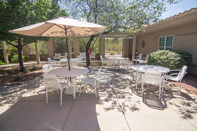 A sunny outdoor patio area with tables, chairs, and a large umbrella surrounded by trees.