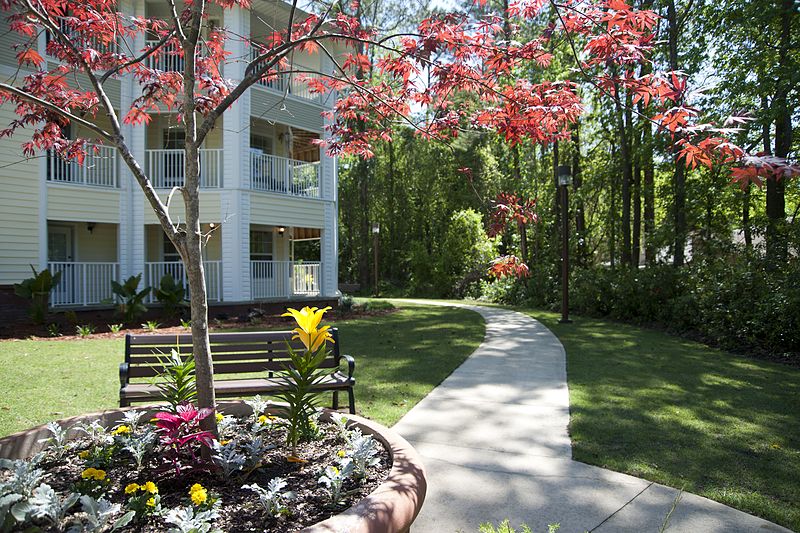 A serene garden pathway leading to an apartment building, surrounded by colorful flowers and lush trees.