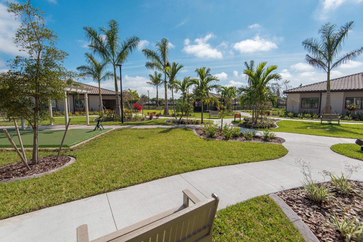 A sunny outdoor park with palm trees, pathways, and benches.