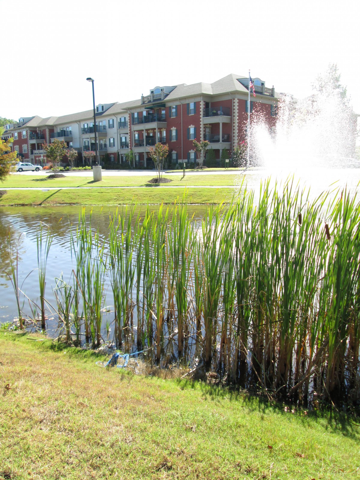 A serene view of an apartment complex with a pond, fountain, and surrounding greenery.