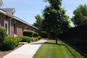 A sidewalk lined with a tree and grass, adjacent to a building and fence.
