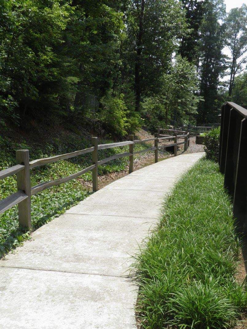A scenic pathway surrounded by lush greenery and wooden fences.