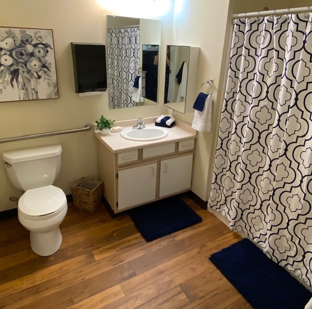 A modern bathroom with wooden flooring, featuring a toilet, sink, and patterned shower curtain.