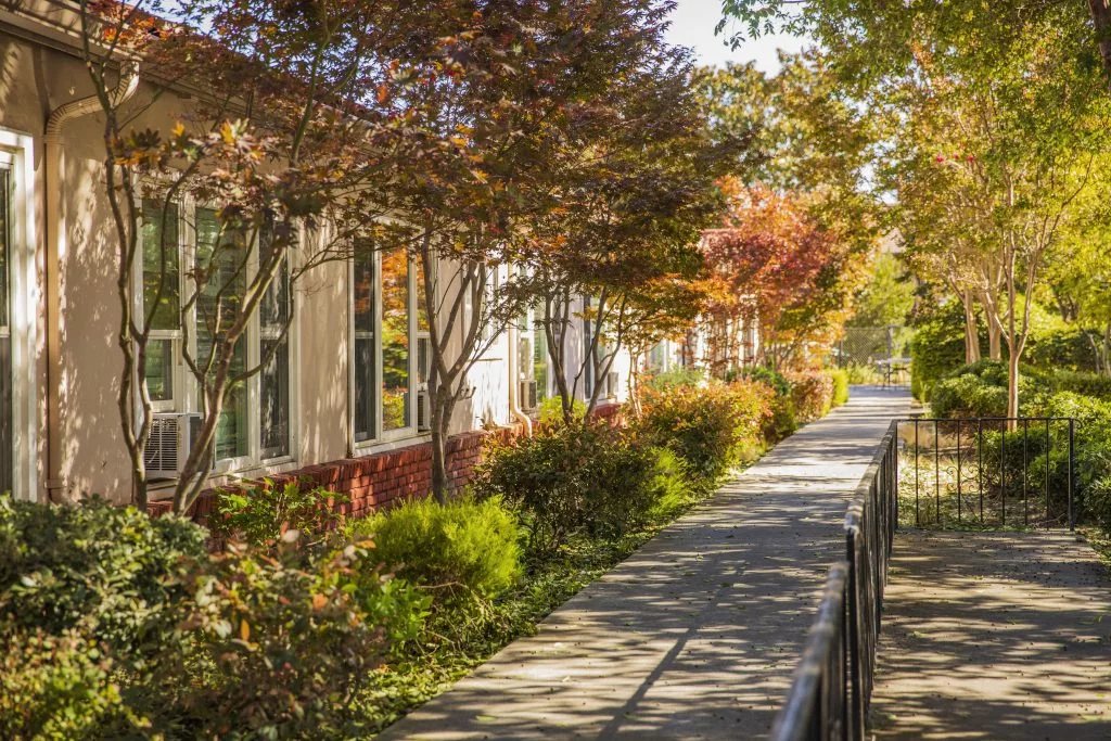 A serene autumn sidewalk bordered by trees with colorful foliage alongside a building.