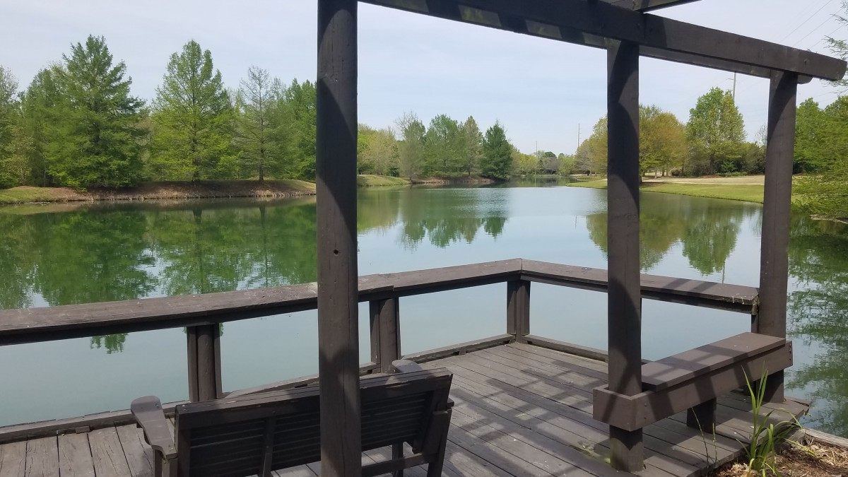 A serene view of a lake from a wooden patio, surrounded by lush green trees.