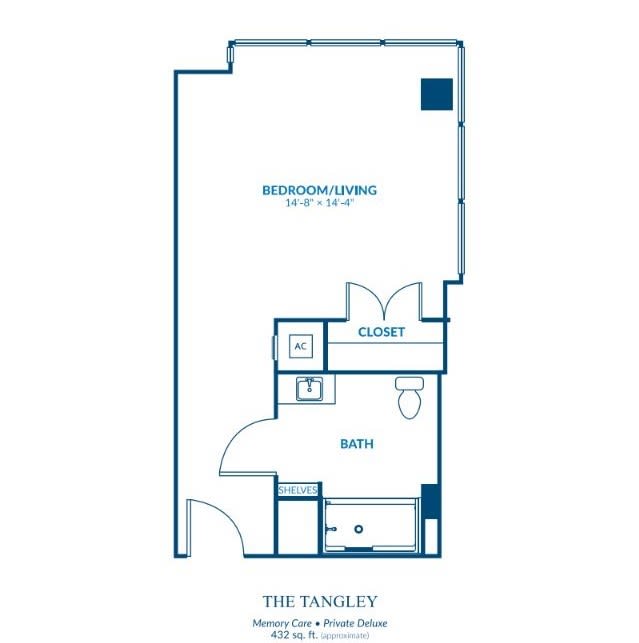 Studio apartment floor plan with kitchen, bathroom, and closet.