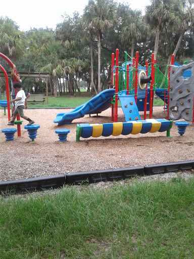 Children enjoying a vibrant and fun-filled playground with various play equipment.