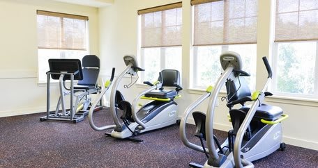 A gym room featuring recumbent exercise bikes lined up by the windows.