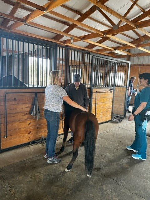 People interacting with a horse inside a stable.